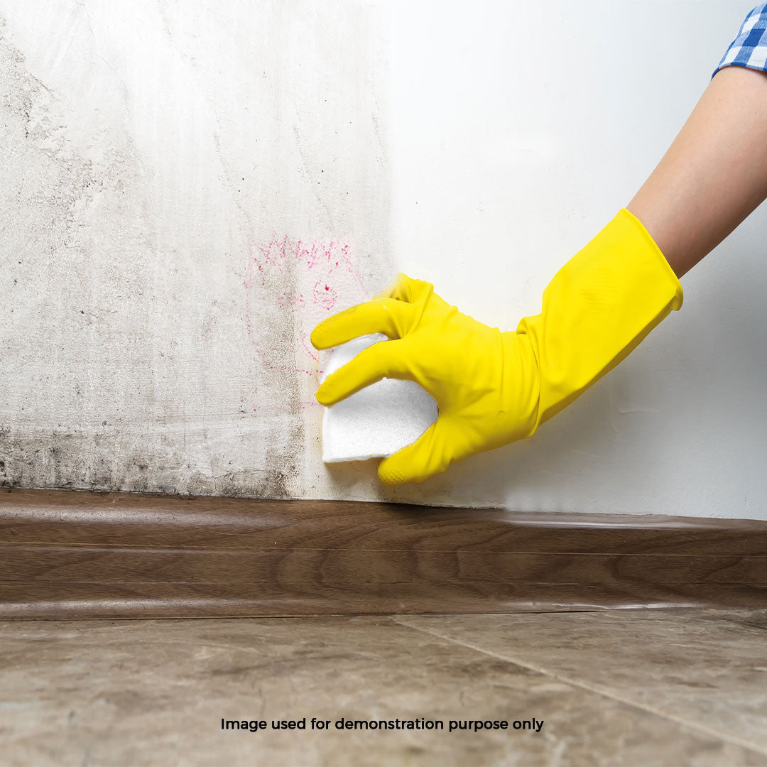 Schmutzradierer Magic Sponge (BHAC0001)